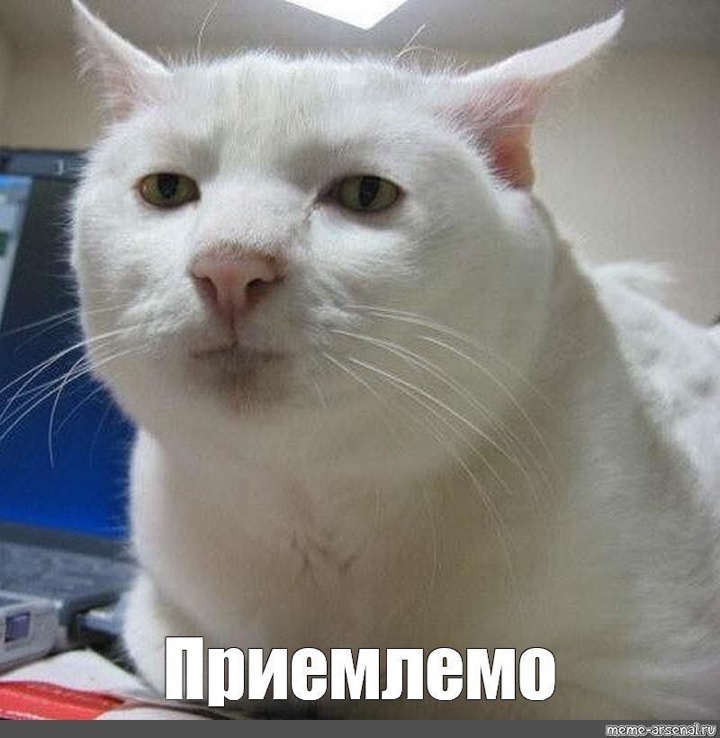 Финальная стадия серии ударов гомеостаза. Система победила